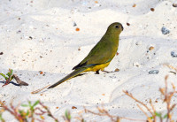 Bremer Bay Boat Harbour